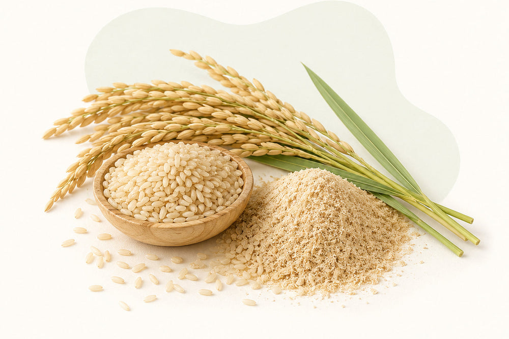 Extracto de Salvado de Arroz
