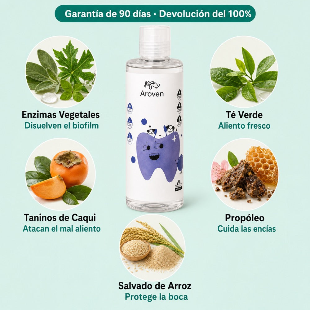 Aroven Dental+ y sus ingredientes naturales: enzimas vegetales, té verde, taninos de caqui, propóleo y salvado de arroz